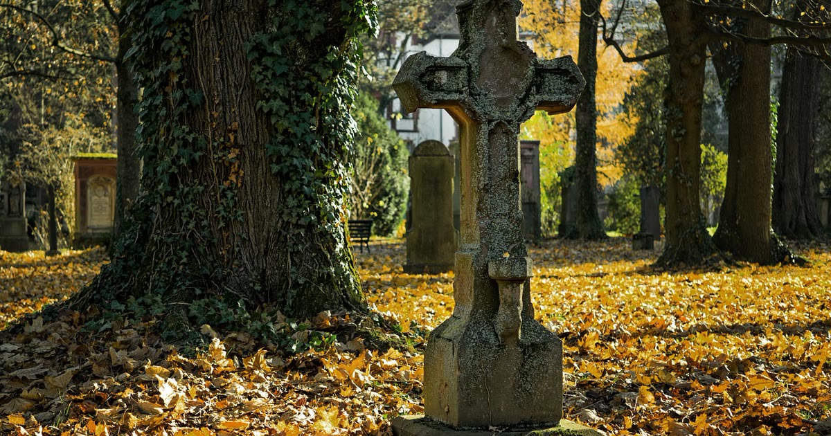 Ubezpieczenie nagrobka: 12 punktów OWU | Igor Gawryś